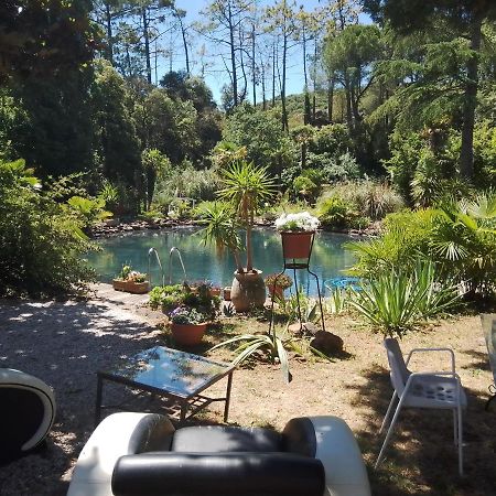 Chambre Studio Verparadis Mourèze Buitenkant foto